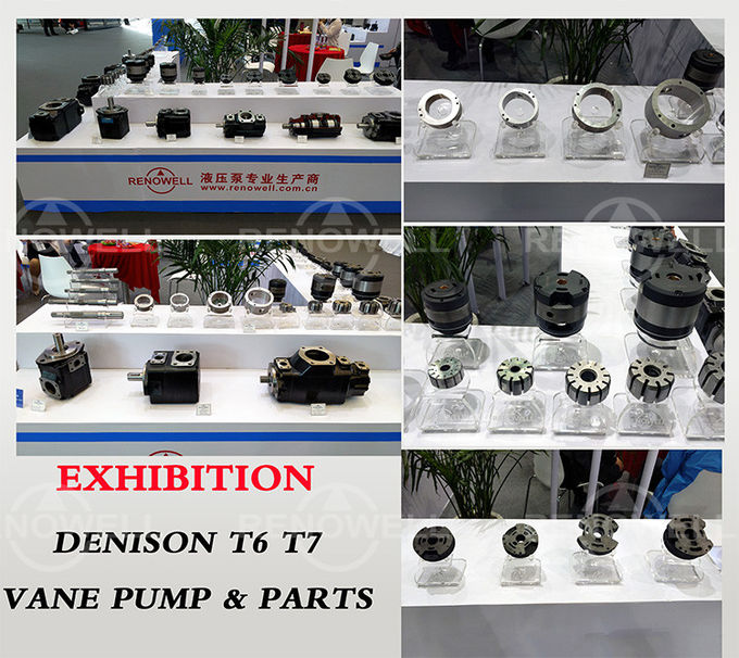 Pompa a palette idraulica di Denison di spostamento triplo idraulico della pompa a palette T6DCC Fiexed