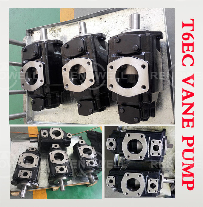 Pompa a palette ad alta pressione idraulica di T6EE per l'applicazione industriale